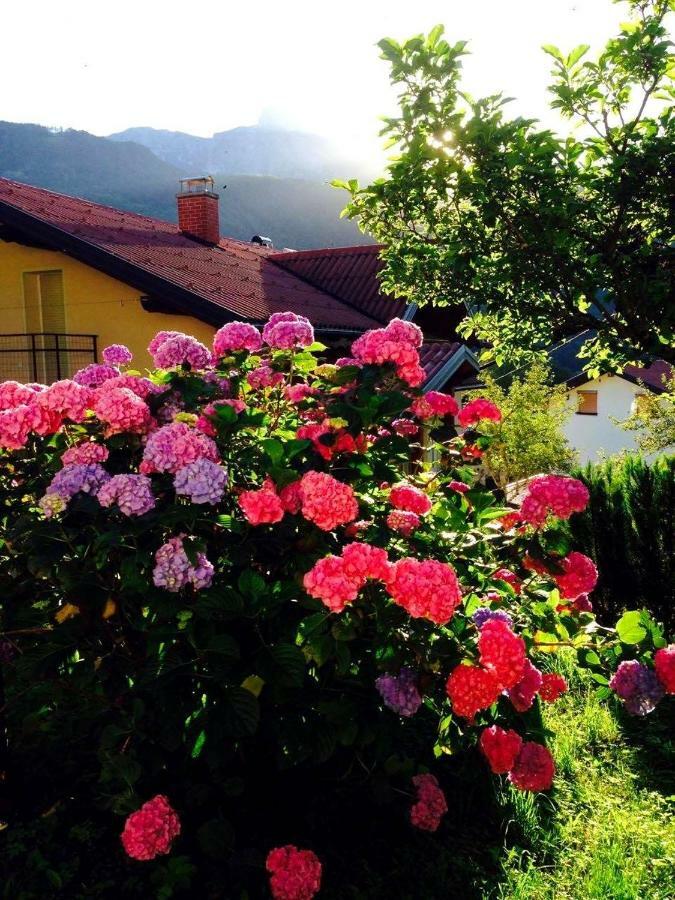 Cosy Cottage With Views Near โคบาริด ภายนอก รูปภาพ